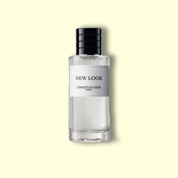 Dior New Look