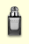 Gucci Pour Homme