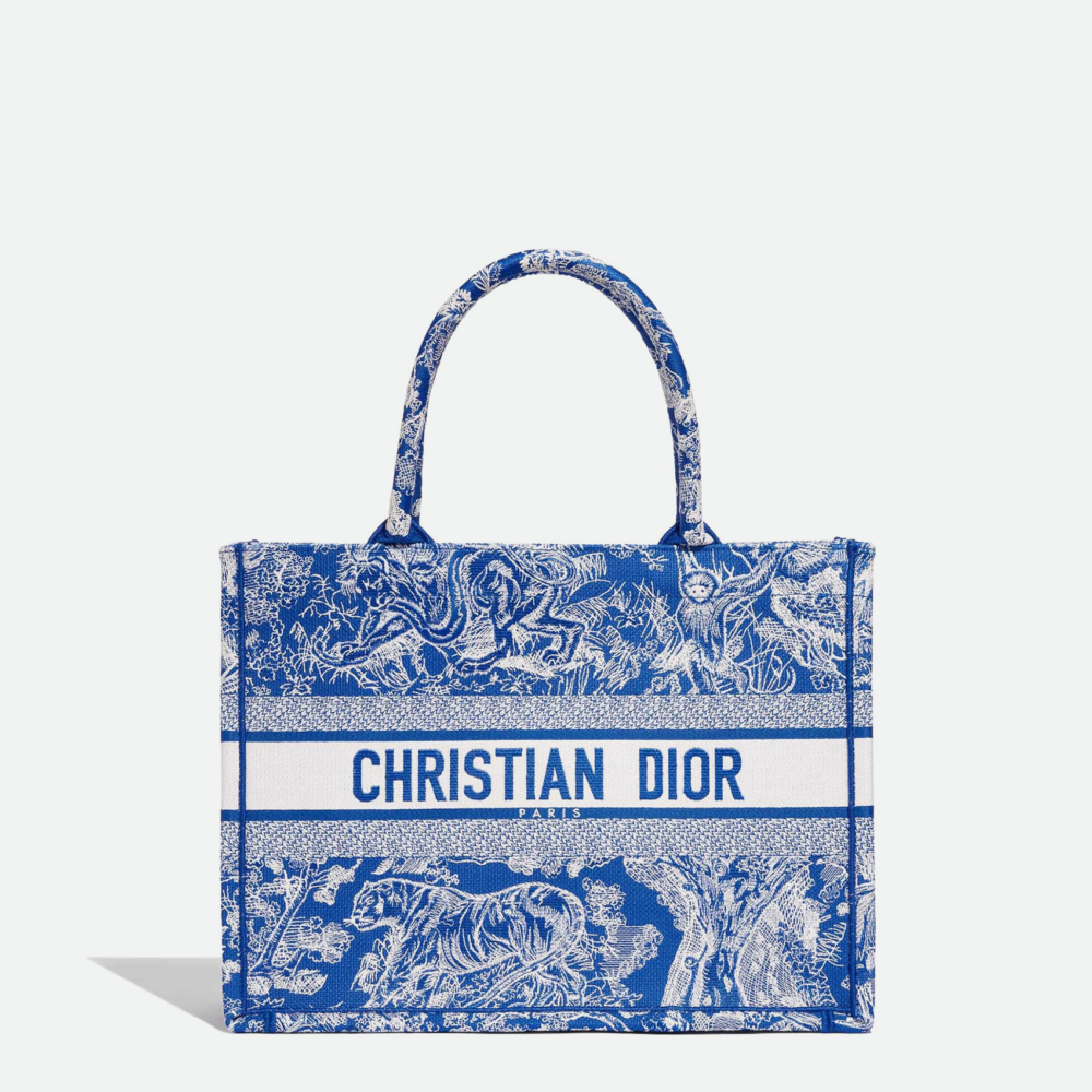 Home 76 Dior Book Tote Blue