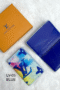 Louis Vuitton watercolor card holder